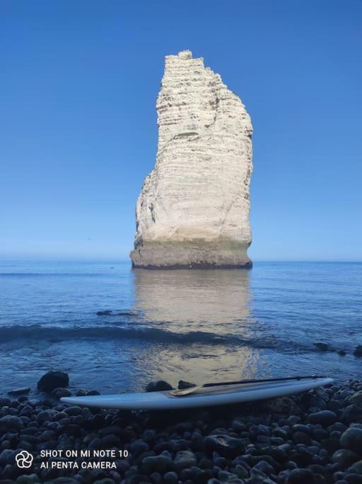 L'ecrin Marin - Holiday home Etretat